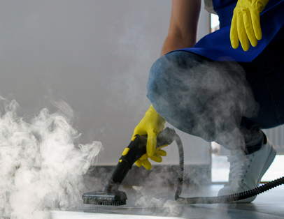 Steam Cleaners